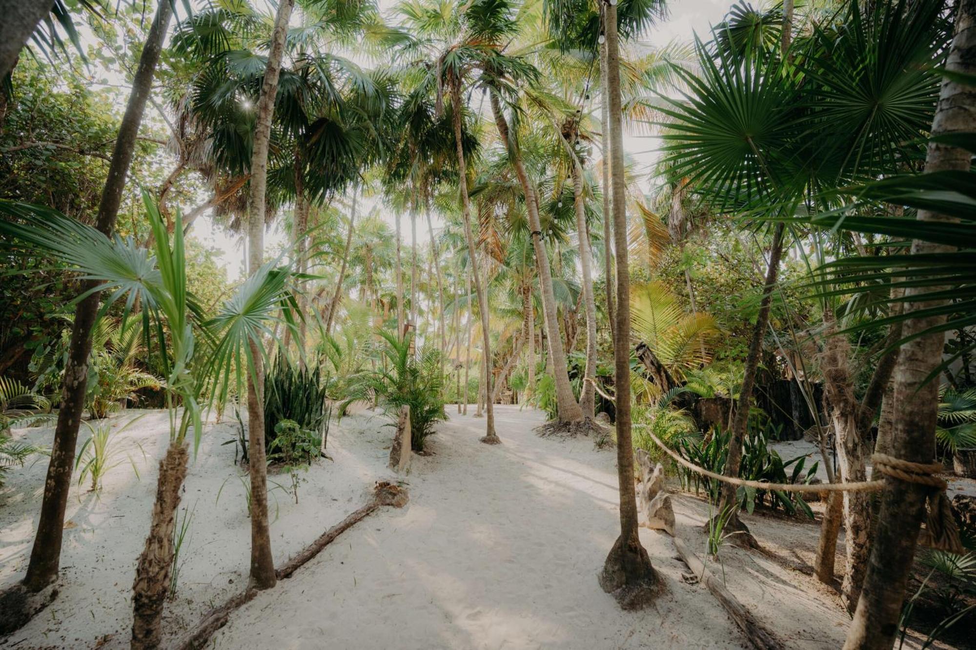 Apartment Boutique With Private Pool In La Veleta Tulum