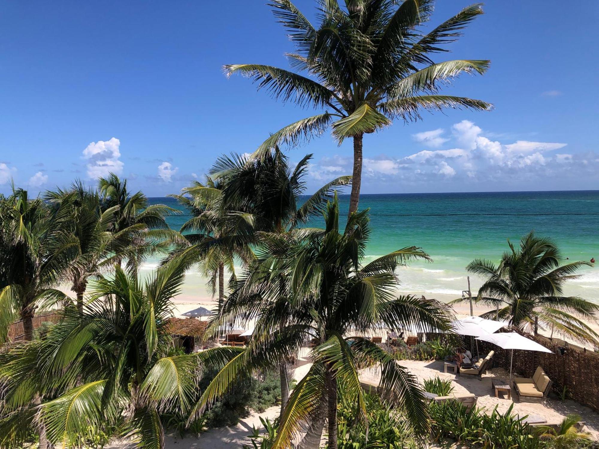 Boutique With Private Pool In La Veleta Tulum