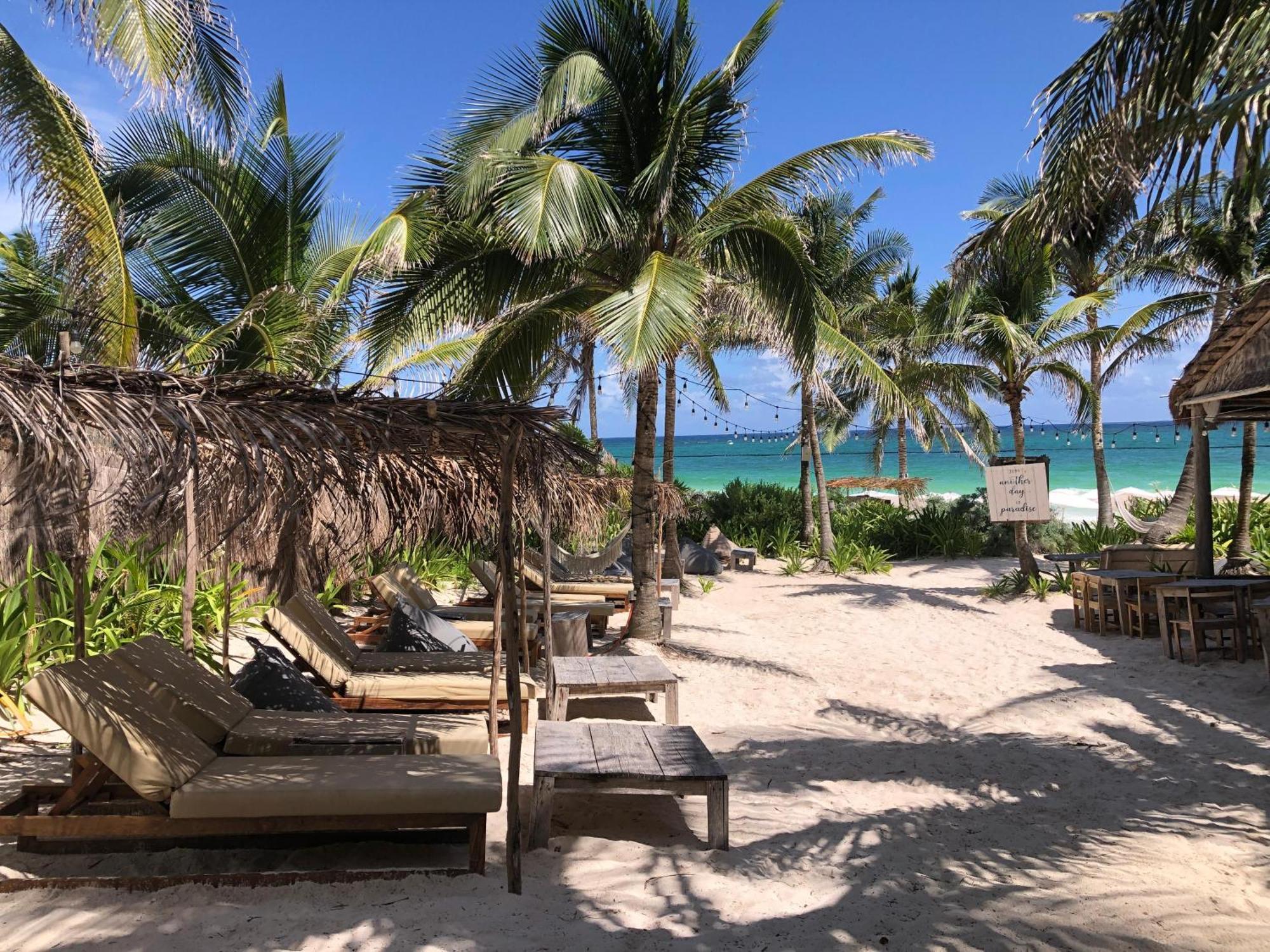 Boutique With Private Pool In La Veleta Tulum